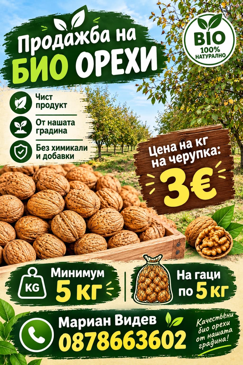Орехи